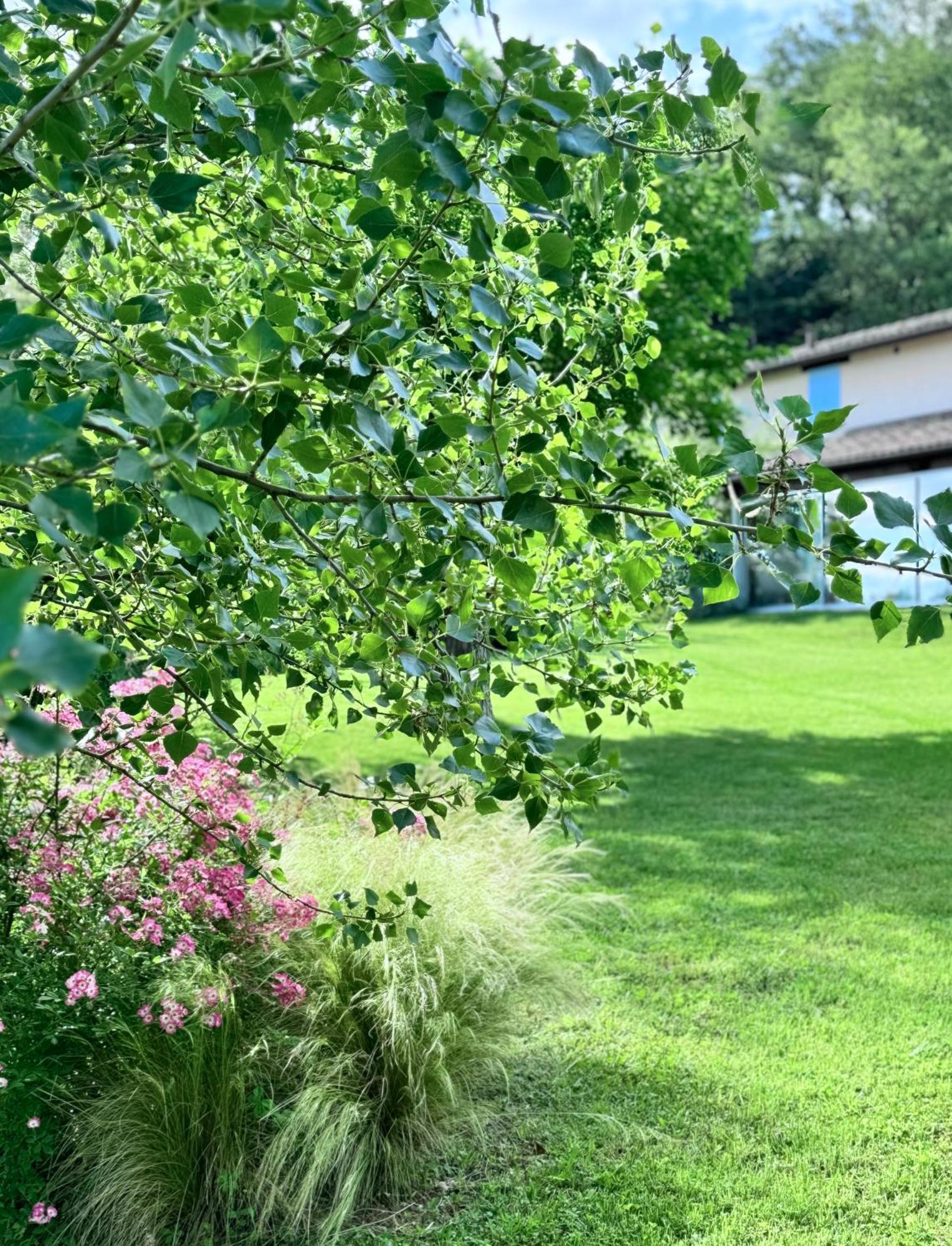 Agriturismo "Le Cannelle" Spa & Day Wellness Villa Fossombrone Exterior photo